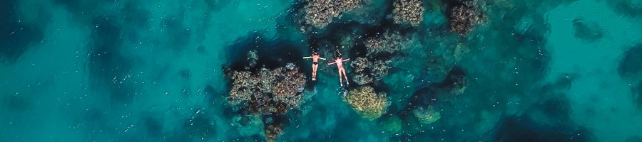 Snorkel Fringing Reef