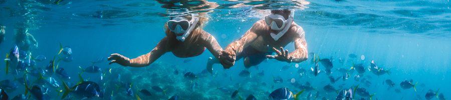 Two people Snorkeling Fringing Reef in the Whitsundays with fish 