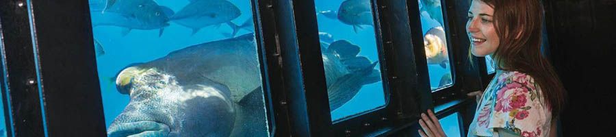 Woman looking at the turqouise water at the underwater viewing chamber