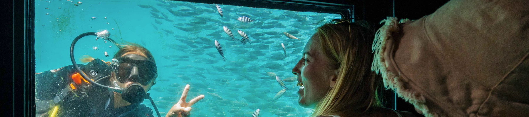 Underwater observatory Reefsleep