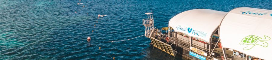 The Reefworld Pontoon sitting on the blue waters of Hardy Reef with scuba and snorkelling lines set up