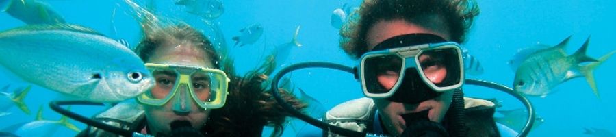 Couple scuba diving surrounded by fish in the Great Barrier Reef