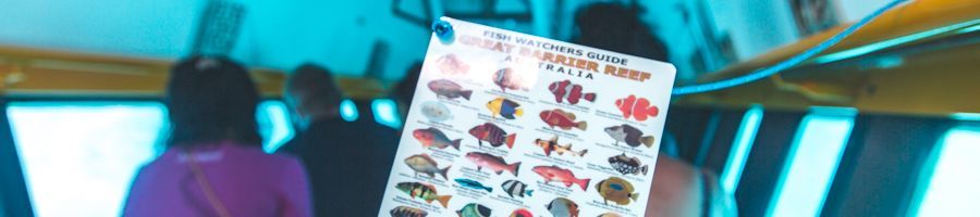 Fish Guide on Glass bottom boat tour