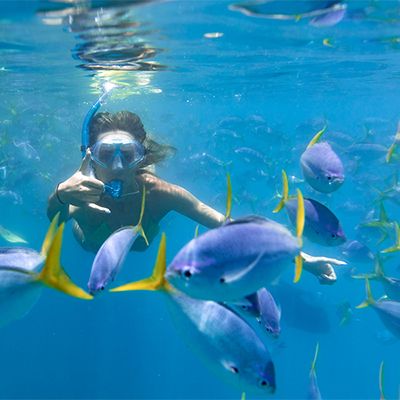 girl snorkelling with tropical fish underwater