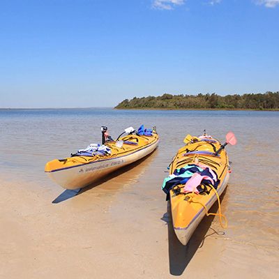 Two Kayaks sitting on the shore of the Noosa Everglades