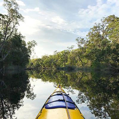 A kayak paddling through the mangrove lined rivers of the Everglades
