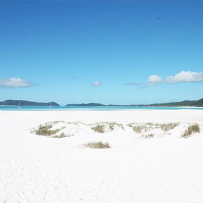 Whitehaven Beach with blue waters and white sands