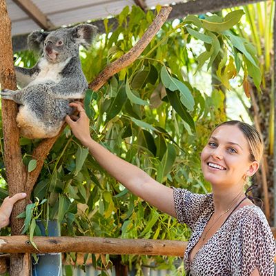 Woman touching a koala with a smile