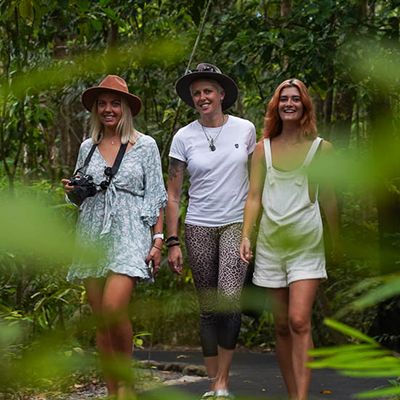 Three women walking through a hinterland forest