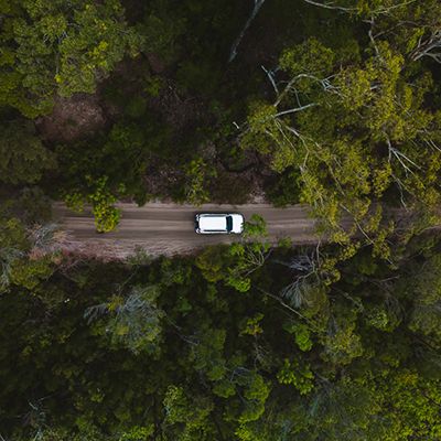 white 4wd driving along sand roads in the forest of k'gari