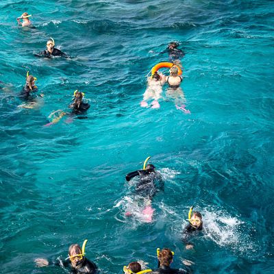A group of people in snorkelling gear in the ocean