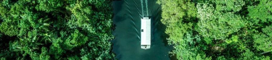 A boat cruising through Daintree Rainforest