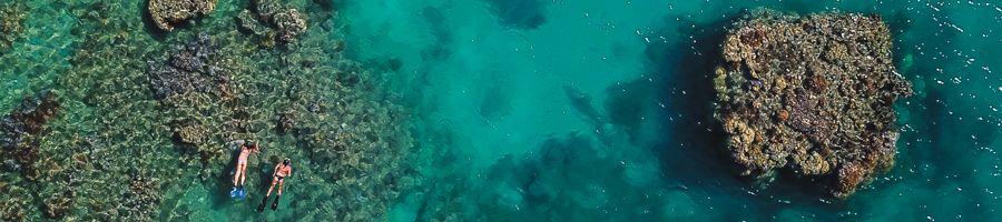 Snorkelling Whitsundays on Wings