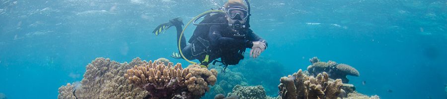 scuba diver swimming across coral reefs underwater