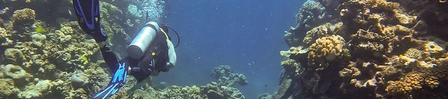 diver swimming through a reef wall on the great barrier reef