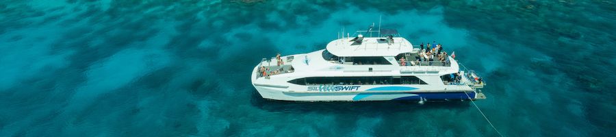 silverswift boat in cairns near the great barrier reef