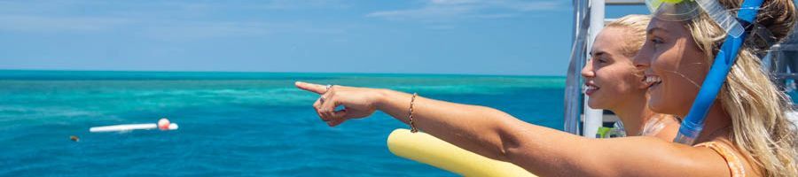 snorkellers admiring the great barrier reef from a boat