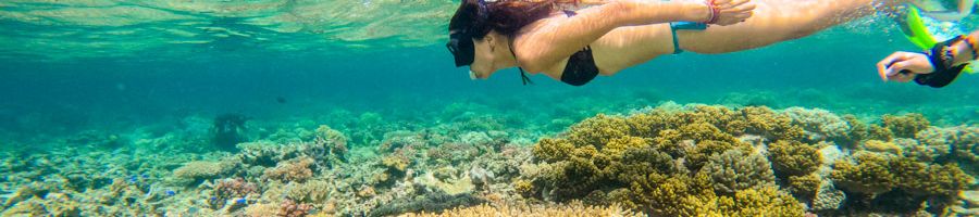girl snorkelling over coral reefs