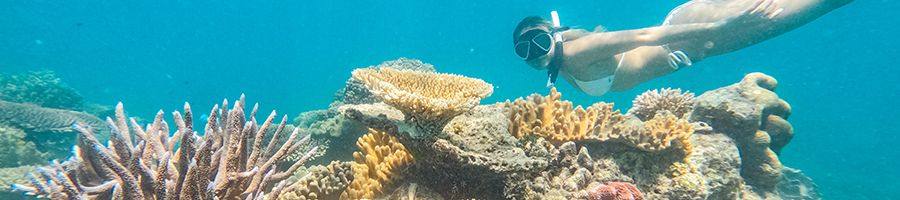 girl snorkelling above colourful coral reefs near green island