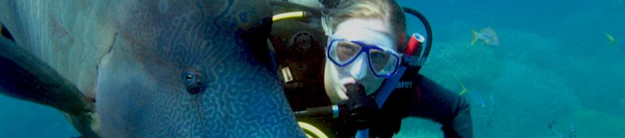 Woman with a giant colourful fish scuba diving