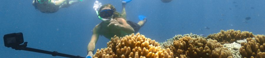 snorkelling, selfie, great barrier reef