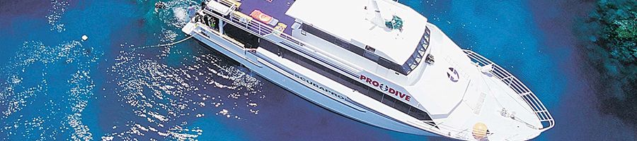 aerial view of pro dive vessel at sea near cairns