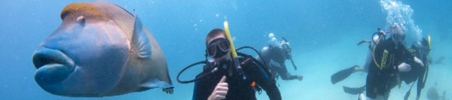 Oceanquest Cairns 2 Day 1 Night Liveaboard Tour