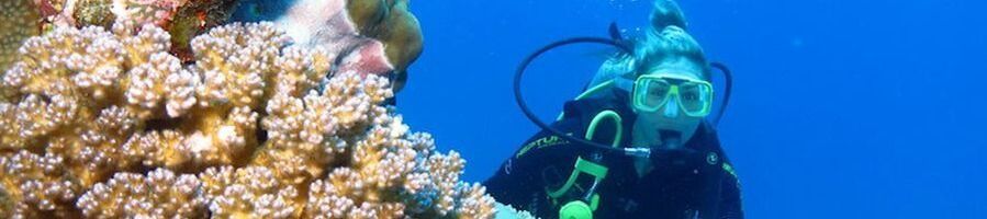 A woman scuba diving near some coral on the Great Barrier Reef