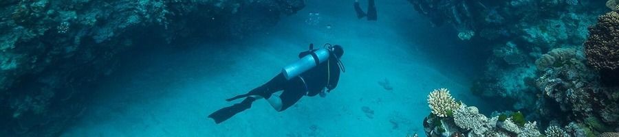 A woman scuba diving along the ocean floor