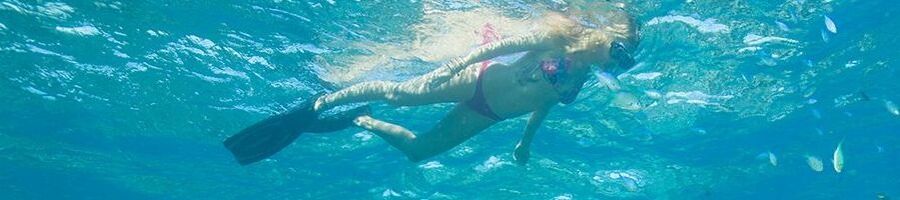 A woman snorkelling along the surface of the water near the Great Barrier Reef