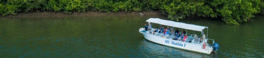 Aerial view of Daintree river and cruise boat