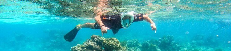 Snorkelling on the Great Barrier Reef on Rum Runner