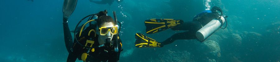 Scuba diving group on the Great Barrier Reef 