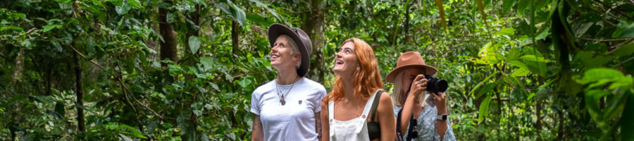 3 women walking through the rainforest