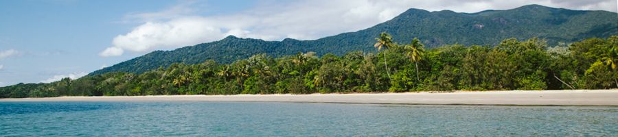 Cape Tribulation scenery from the water