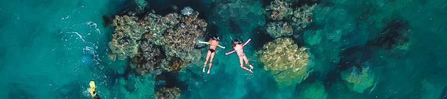 Two people snorkelling with noodles on the Great Barrier Reef