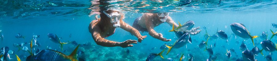 two people snorkelling with tropical fish near cairns