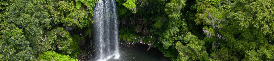 A waterfall in a rainforest