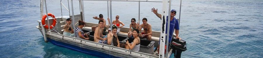 glass bottom boat tour from reef encounter near cairns