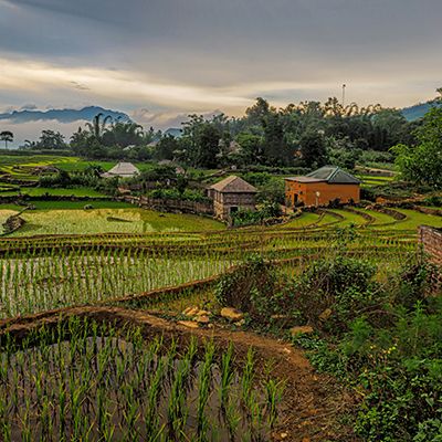 A rural town in Vietnam with rice paddies