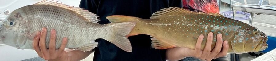 A boy holding two fish he caught on board Phoenix Fishing Charter 