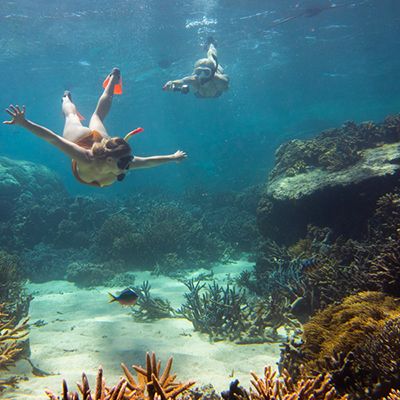 Two people snorkelling through coral reefs