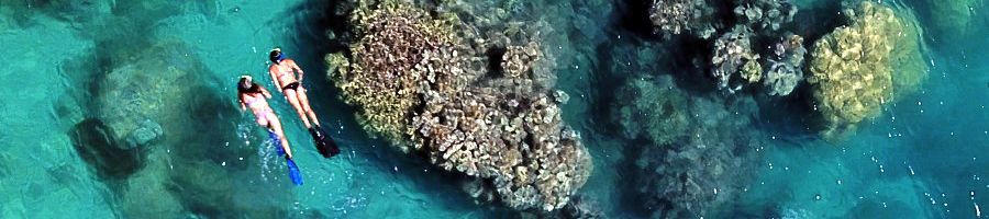 Two people snorkelling amongst fringing reefs onboard Whitsunday Bullet Day Tour