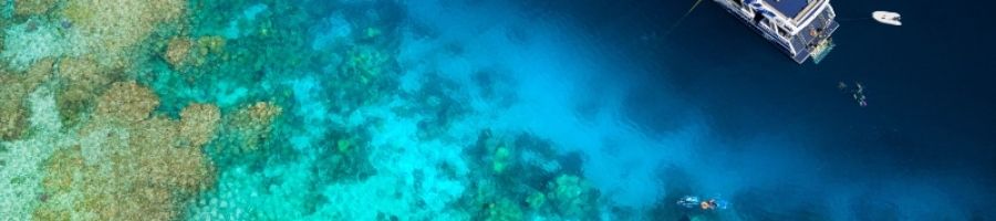 ReefQuest on the Great Barrier Reef