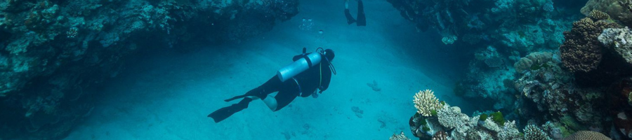 Scuba Diver on the Great Barrier Reef