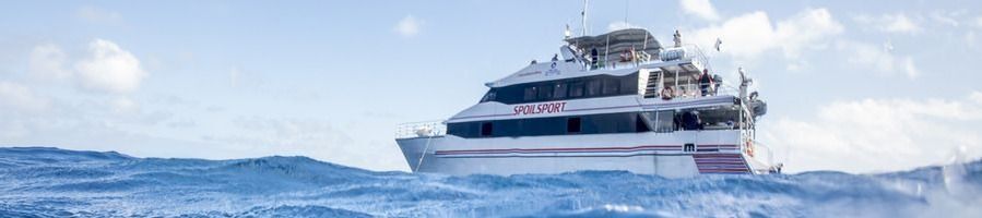 Mike Ball ferry to the Great Barrier Reef