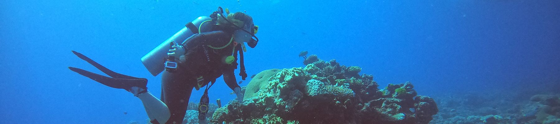 Woman scuba diving amongst corals