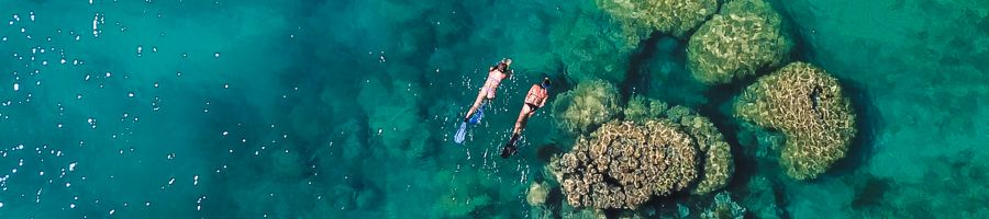 whitsunday bliss, snorkelling