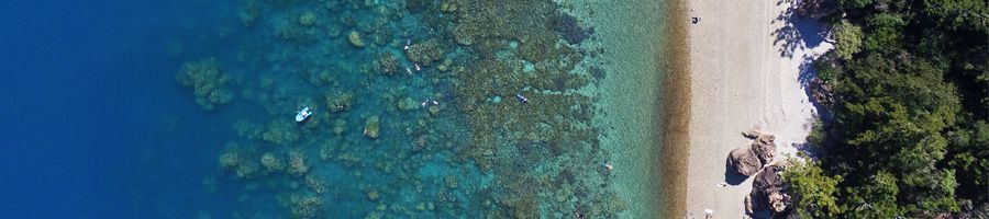 Snorkel Great Barrier Reef Entice Catamaran 