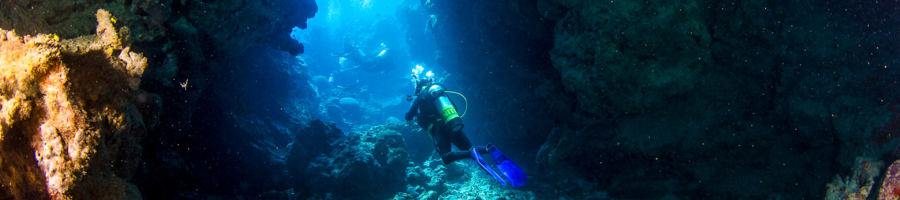 scuba diver swim through reef